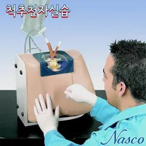[종로의료기]NASCO USA 척추천자 임상술기 실습모형 LF01036 요추천자실습