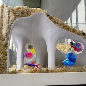 수족관 코너형 맹그로브 뿌리 은신처 - 물고기 새우 양서류/수족관 또는 육지 생물 장 대형