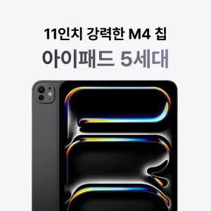 Apple 2024 아이패드 프로 13 M4 WiFi 256GB 스페이스 블랙