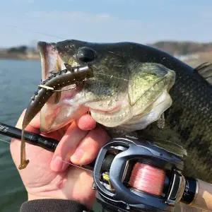 7even MAKERS 로치 4.5 배스 루어 미끼 소프트 웜