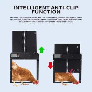 타이머 자동 닭장 문 스마트 방지 핀치 유도 방수 전기 가금류 게이트 농장용