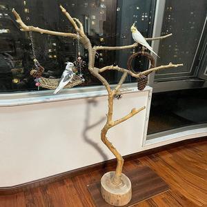 앵무새 놀이터 사다리 스탠드 조립식 그네 횃대 조류 정글짐 나무 대형