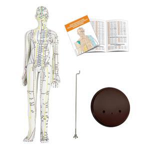 침술 모델, 인체 지혈 모델 20.5인치 전신 실리콘 전문가, 한의학에서 지혈 학생 시연(여성 )을 위한 기반
