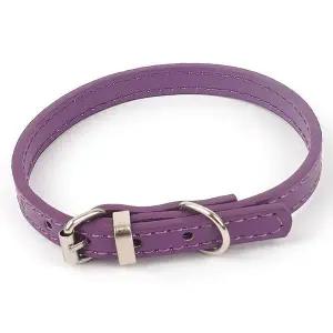 강아지 목줄 보라 애견 벨트 버클 줄 반려동물 고양이