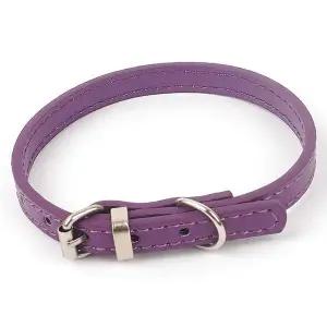 강아지 목줄 보라 애견 벨트 버클 줄 반려동물 고양이