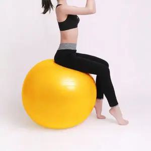 [골드스마일]필라테스 요가 코어 운동 짐볼 65cm