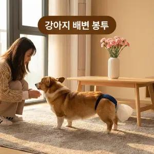 외출 산책 강아지 똥주머니 기저귀 노견 똥주머니