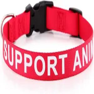 플루투스 애완동물 지원 목걸이 나일론 웨빙에 큰 글씨로 인쇄 다른 사람에게 반려견을 미리 경고하여