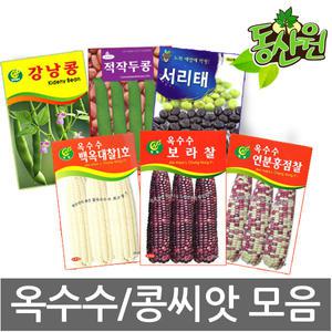 씨앗모음 옥수수 / 콩씨앗 옥수수종자 텃밭채소