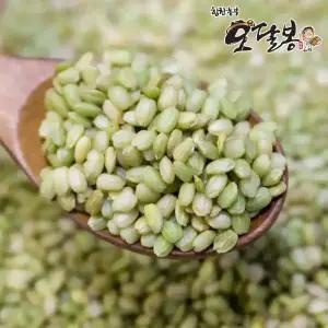 국산 녹미 녹색쌀 찰녹미 4kg