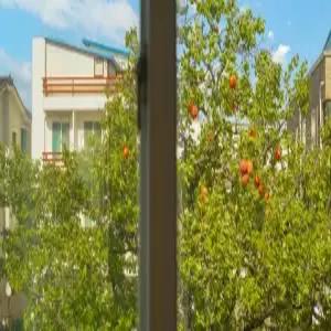 [강원] 고성 감나무 펜션(강원펜션/고성펜션)