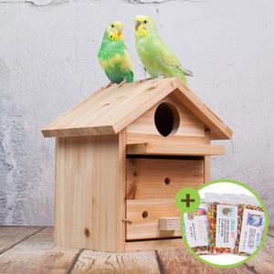 천연 원목 기와알통 중소형 앵무새 나무알통 앞문형