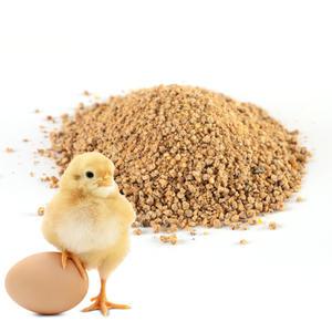 육계전기5kg 병아리사료 병아리모이 청계 오골계 토종닭사료