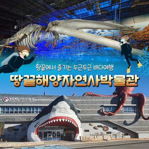 [해남] 땅끝해양자연사박물관 입장권(~07.31)/해남여행/가볼만한곳/남해여행/해양생물/전시회/생태계/아이과가볼만한곳/이색박물관/국내해양/