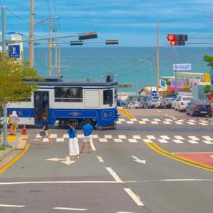 [부산]해운대 블루라인파크 해변열차 이용권
