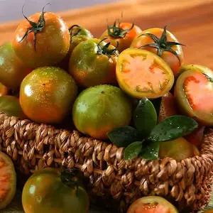 [도림]못난이대저토마토 2.5+2.5kg(쥬스용)