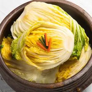 업소용 식당용 국밥집 중국산 10kg 풍년들 백김치