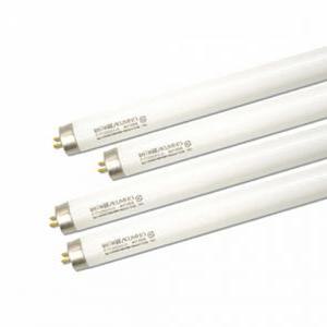 번개표 형광등 삼파장 학교용품 FHF32SSEX-D 25개입 / 1200mmx26mm 19585 문구용품 사무용품 학습준비물 만