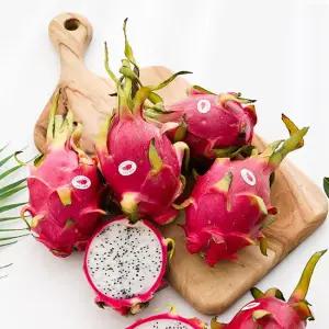 베트남 용과 9-10개 5kg 대과 (개당 490g내외)