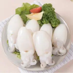 냉동 갑오징어 20 40 800g