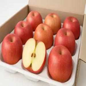 아삭아삭 고당도 햇 사과 소과 경북 (당도선별) 산지발송 스테어팜 1.5kg