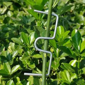 50개 나뭇가지 고정 E클립 이클립 사과 배 감 대추 나무 묘목 가지유인 지지대 과수원 원예 농자재 결속기