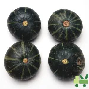 뉴질랜드 단호박 10Kg (13수)