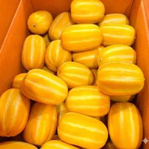 (정품) 참외 성주 제철 참외 2kg 소과(10-14과) / 산지직 송연구소