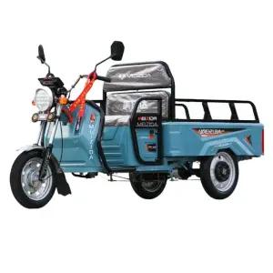 삼륜 전기차 농업용 짐수레 트레일러 삼발이 운반차 전기스쿠터 승용 전기화물차 오토바이