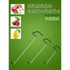 고정 과수자재 사과나무 지지 식물 06타입개선 자재 세트 분재정형 100개 식물지지대