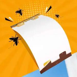 파리 BT64JY05 끈끈이 트랩 초파리 나방