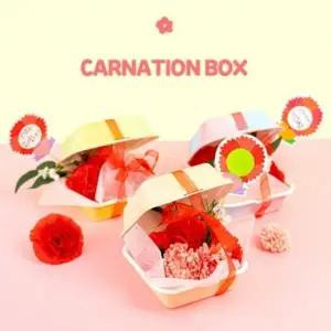 카네이션 도시락 인기상품 만들기 추천템