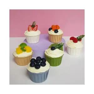 루미나D 컵케이크 모형 사진촬영 장식미니어처 진열 6종세트
