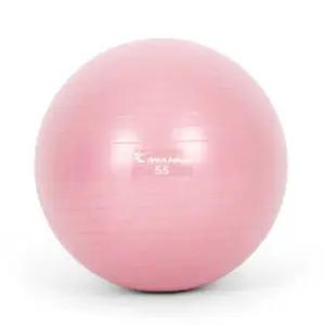 R97 마사지짐볼 55cm 와일드핑크 임산부 홈트 밸런스