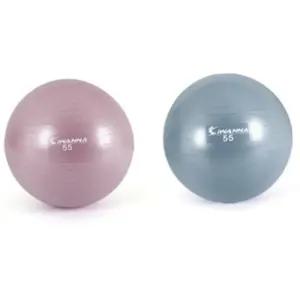 R70 짐볼 55cm 스트레칭 임산부 근력운동 요가 홈트