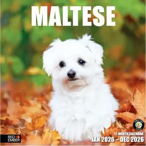 레드 엠버 몰타제 2026 월 캘린더 12개월 12인치 x 24인치 오픈 두껍고 튼튼한 종이 홀리데이 선물 귀여운