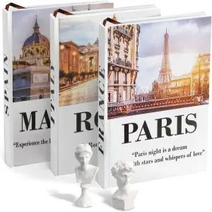 심플리 애스테틱 유럽 도시 장식 도서 세트 2개의 흉상 그리스 방법론 3개의 흰색 하드커버 커피 테이블 책