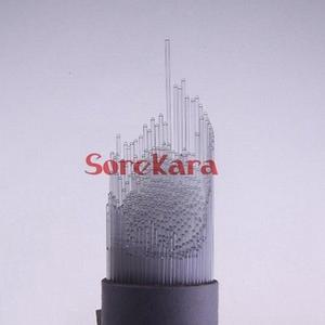 호환 1000pcs 가방 0.1/0.3/0.4/0.5mm 길이 100mm 유리 융점 모세관 튜브 양쪽 오픈 엔드