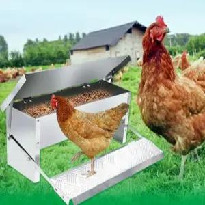 페달 닭모이통 양계장 급수기 닭 급식기 먹이통 메추라기 자동