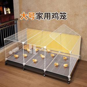 병아리 메추리 사육장 투명 세트 만들기 육추기 2열1층 집 앵무새