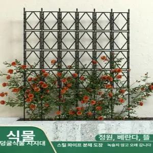 장미 넝쿨 식물 지지대 울타리 오벨리스크 아치