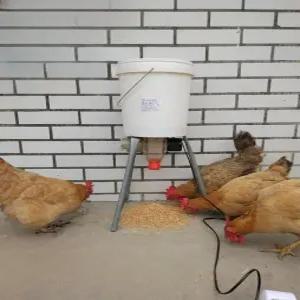 양계장 자동공급기 사료 정량 타이머 조류 모이 전동하수기 닭모이 자동급식기 전동 배식기