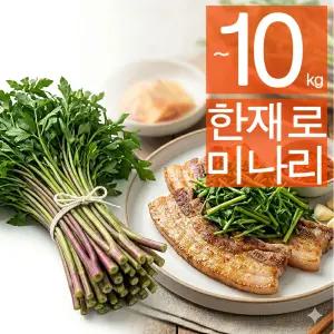 (3kg) 국내산 청도 한재로 초벌 미나리 3kg 세척손질 암반수재배