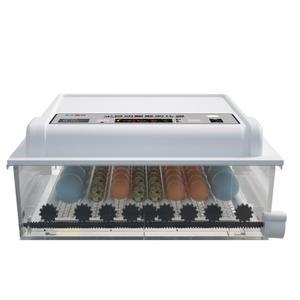 자동 병아리 부화기 오리 병아리부화기 농장 소형 키우기 거위 양계장 가정용 계란부화기