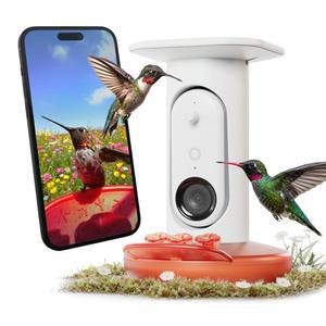 카메라가 장착된 스마트 관찰을 AI 야외 위한 2K 프로 선물 버드버디 비태양광 식별 모이통 조류 벌새 걸이 사진 5MP 비디오