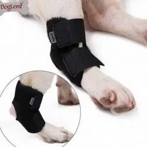 고정 슬개골 수술 보호대 무릎 반려견 강아지 네오프렌 탈골