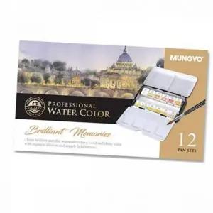 메탈릭톤 고급 물감 고체형 수채 12색 전문가용 휴대용