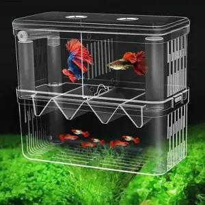 열대어 물고기 어항 치어통 격리통 부화통 플라스틱 어항격리통