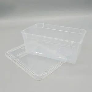 bns 파충류 도마뱀 사육장 곤충 거북이 달팽이 밀웜 집 C4