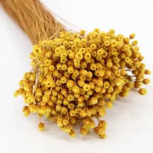 Quality Growers - 행복한 꽃 보존 부케 홈 데코 꽃다발 공예 및 DIY 프로젝트를 위한 식물화 손수 수확